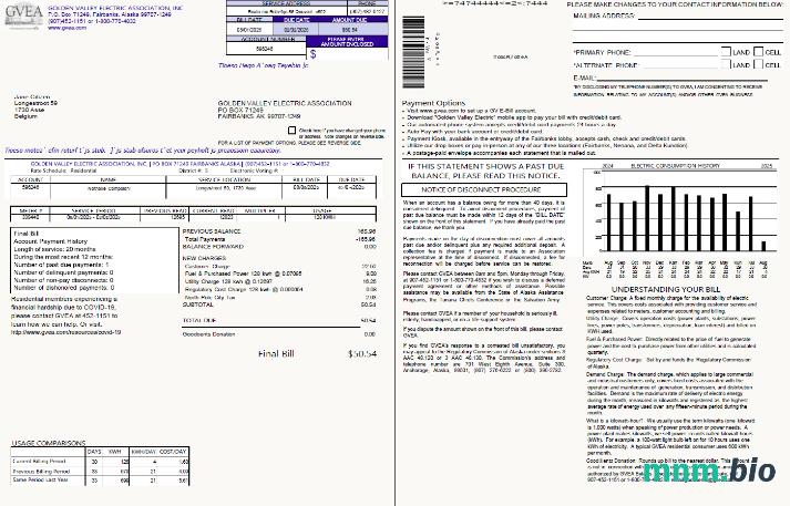 Belgia Golden Valley Electric Association rachunek za media szablon w formacie Word i PDF, 2 strony